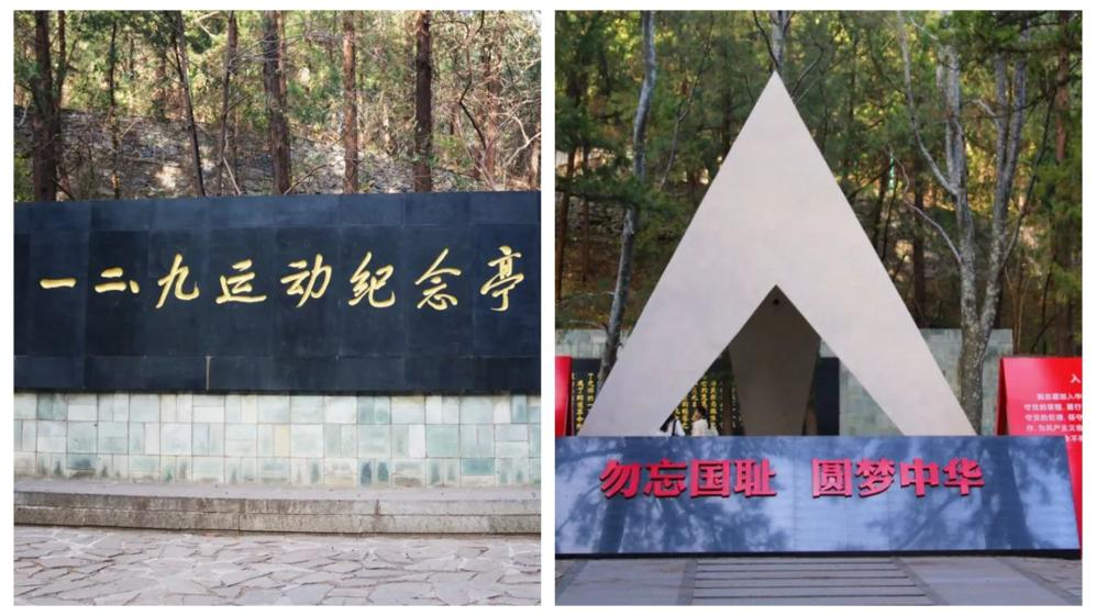 沙巴体育