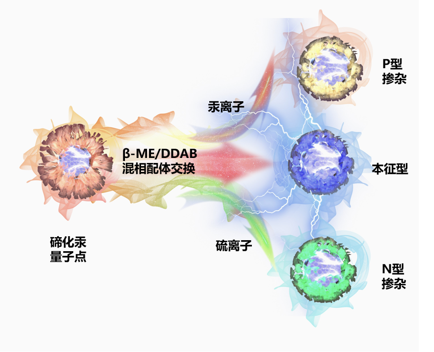 沙巴体育