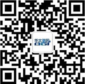 沙巴体育