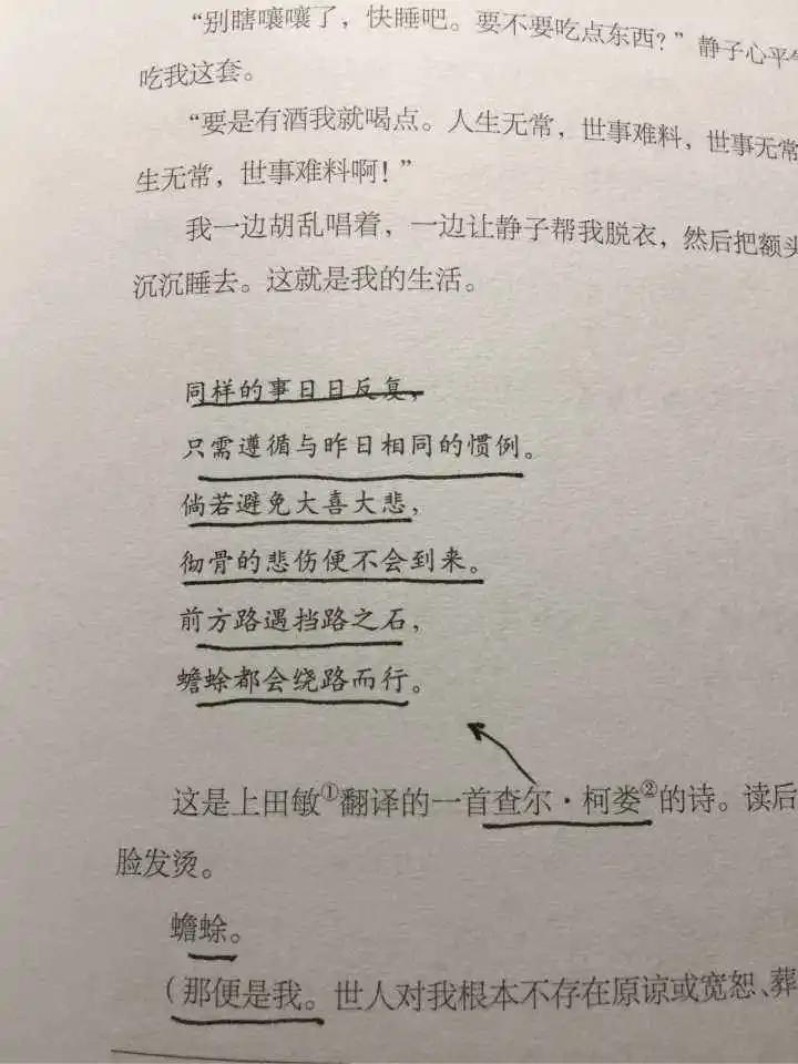 沙巴体育